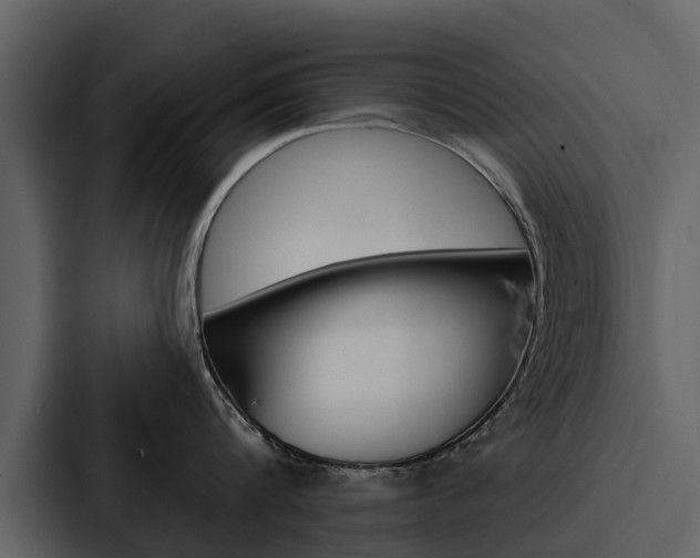 X0000088140816200705141030