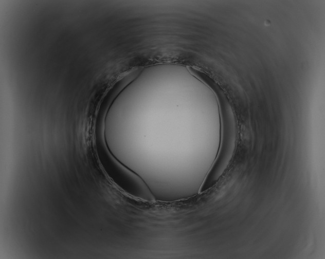 X0000088140818200705141030