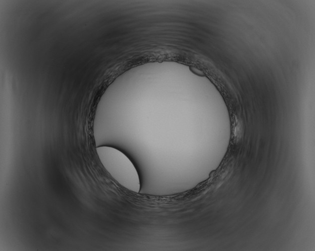 X0000088140819200705141030
