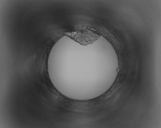 X0000088140820200705141030