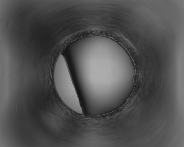 X0000088140821200705141030