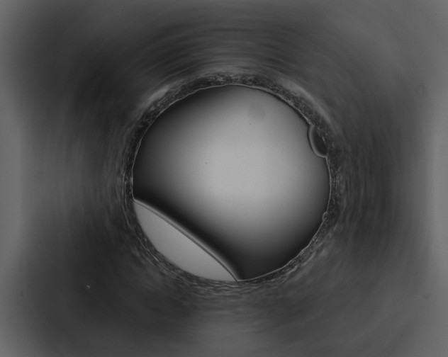 X0000088140822200705141030