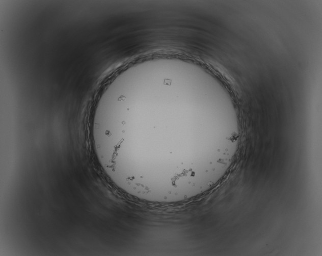X0000088140824200705141030