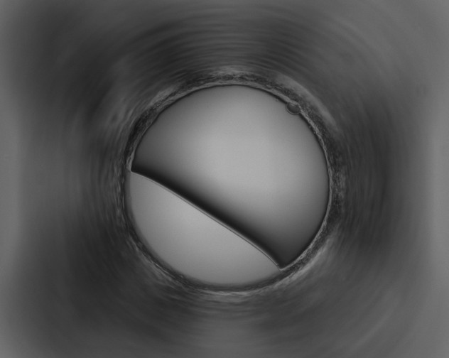 X0000088140825200705141030