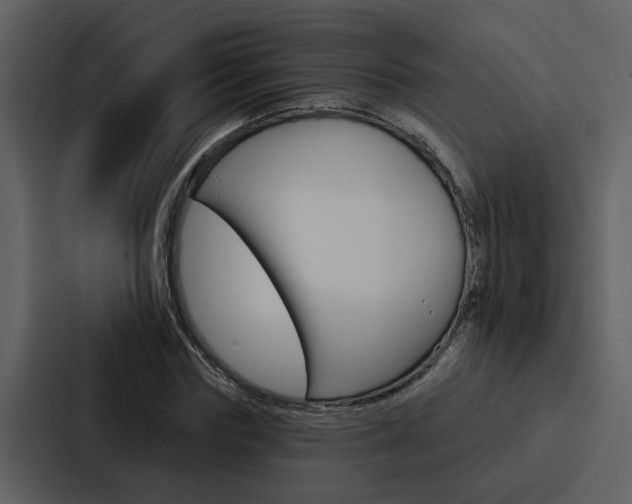 X0000088140827200705141030