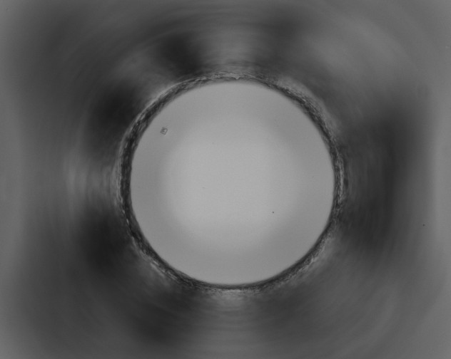 X0000088140828200705141030
