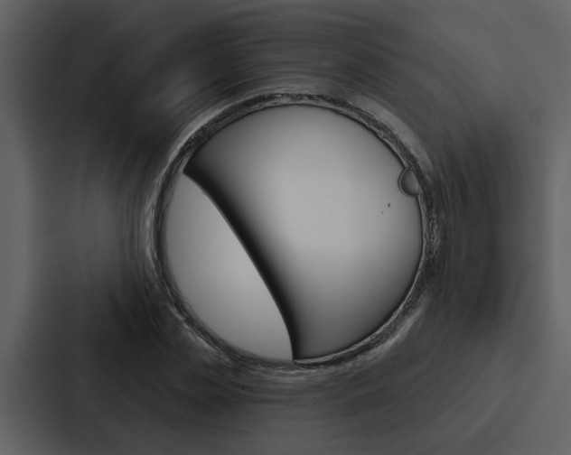 X0000088140829200705141030