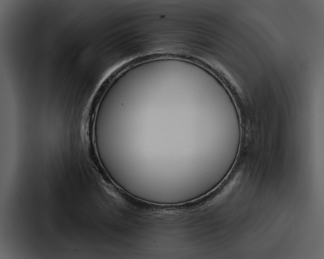 X0000088140830200705141030