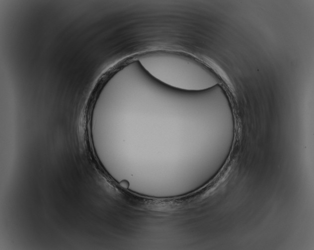 X0000088140831200705141030