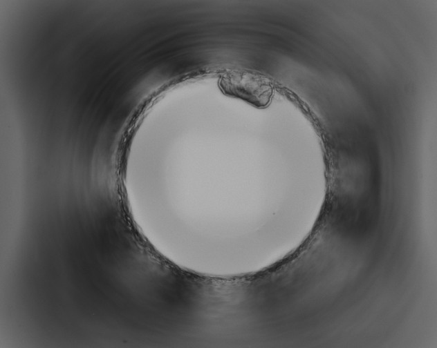 X0000088140832200705141030