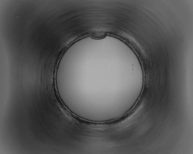 X0000088140833200705141030