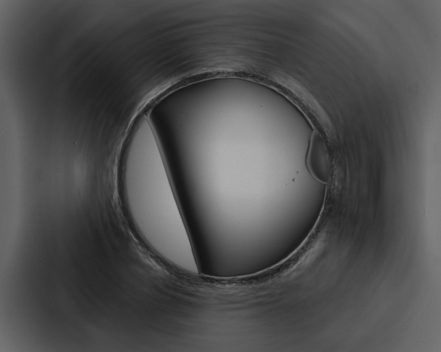X0000088140834200705141030