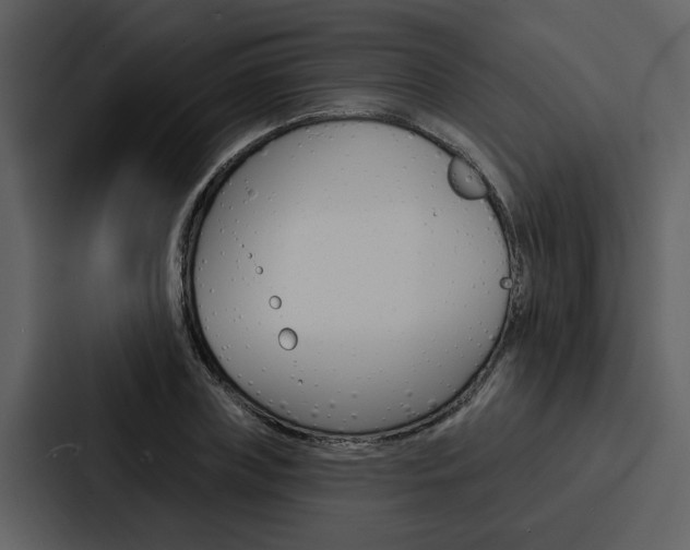 X0000088140835200705141030