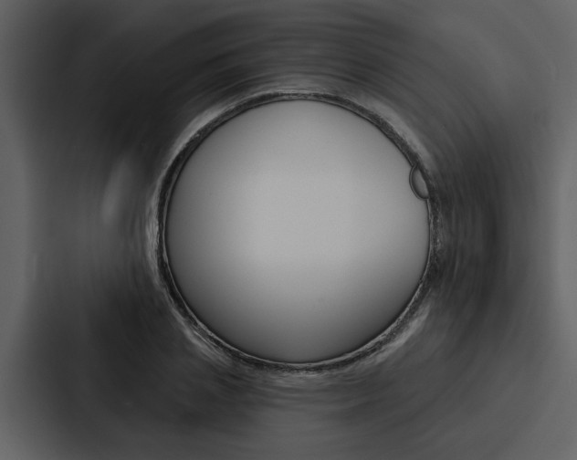 X0000088140837200705141030