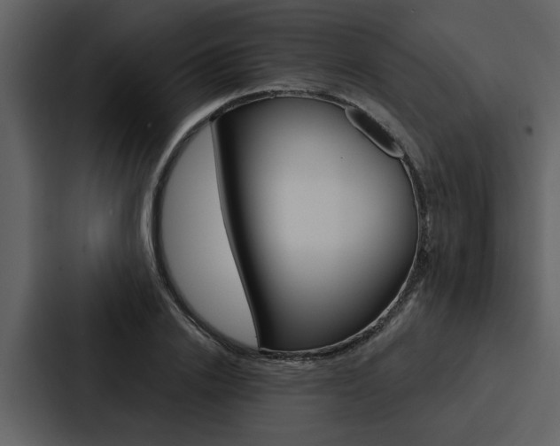 X0000088140838200705141030