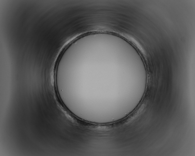 X0000088140839200705141030