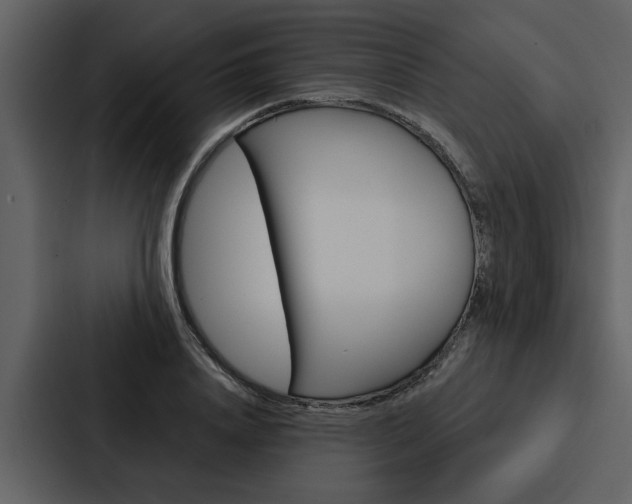 X0000088140840200705141030