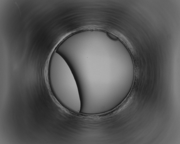 X0000088140844200705141030