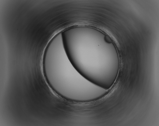 X0000088140845200705141030