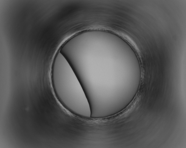 X0000088140847200705141030