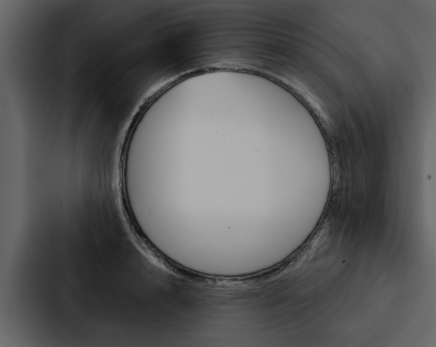 X0000088140848200705141030