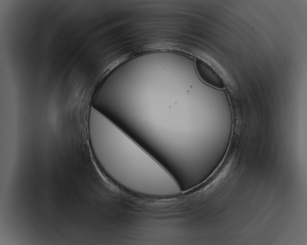 X0000088140849200705141030