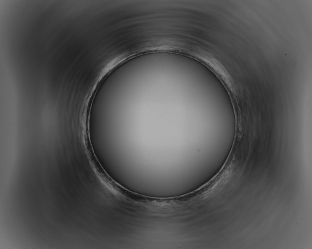 X0000088140850200705141030