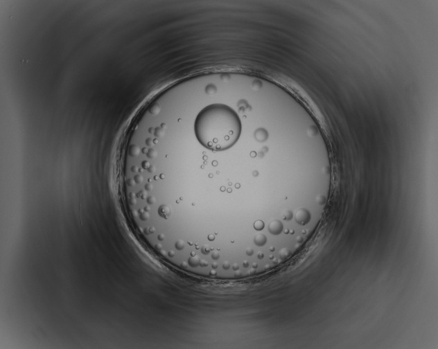 X0000088140851200705141030