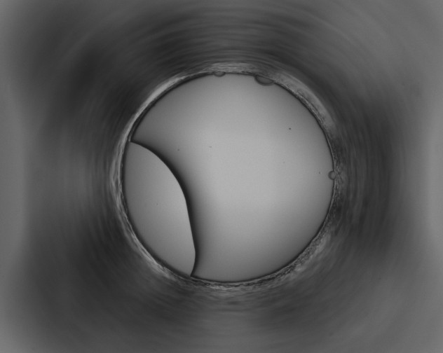 X0000088140852200705141030