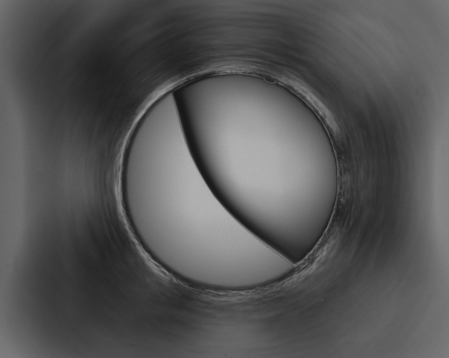 X0000088140853200705141030