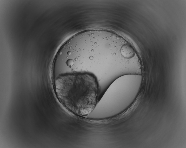 X0000088140855200705141030