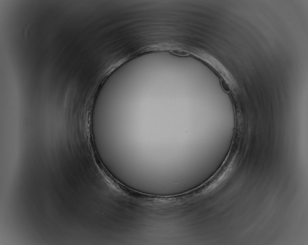 X0000088140857200705141030