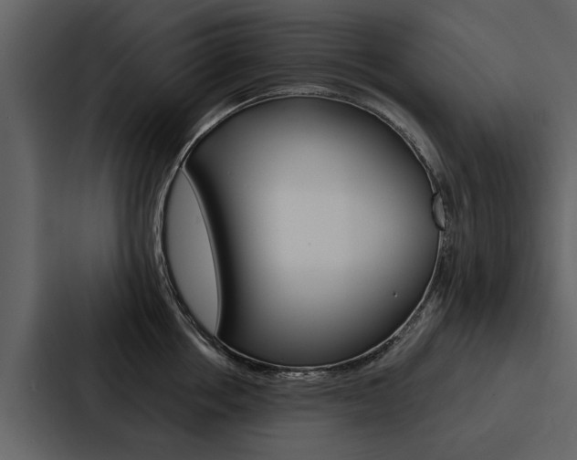 X0000088140858200705141030