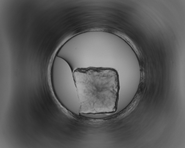 X0000088140859200705141030