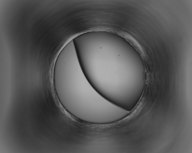 X0000088140860200705141030