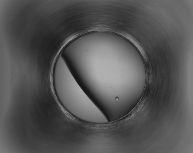 X0000088140861200705141030