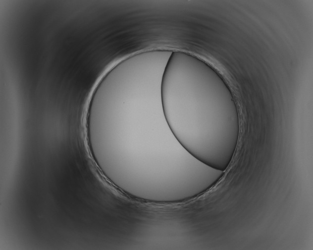X0000088140864200705141030