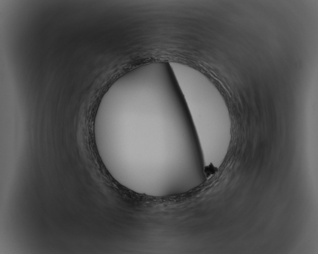 X0000088140865200705141030