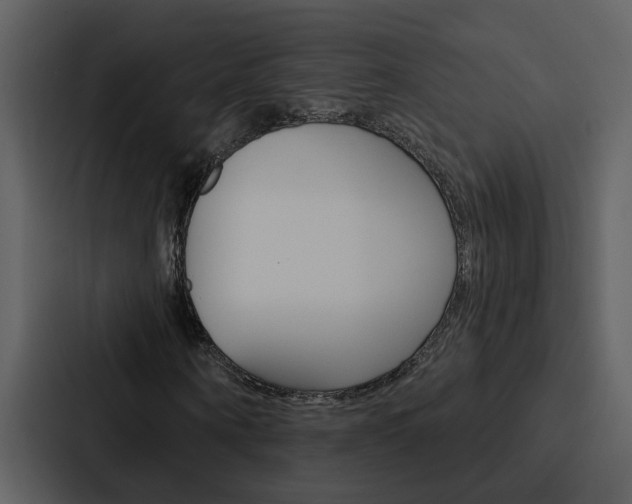 X0000088140866200705141030