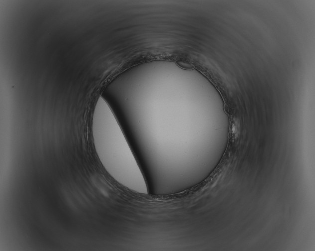 X0000088140867200705141030