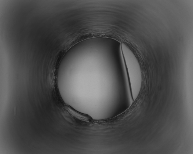 X0000088140868200705141030