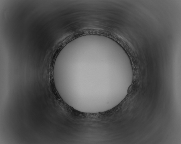X0000088140870200705141030