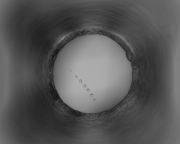 X0000088140871200705141029