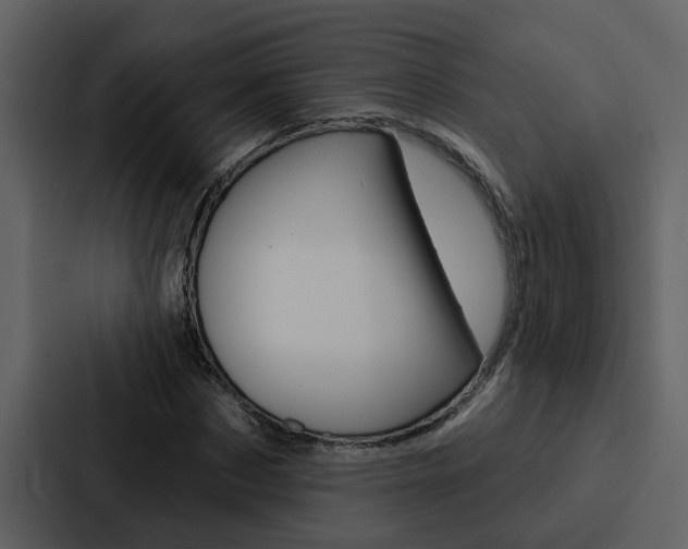 X0000088140873200705141029