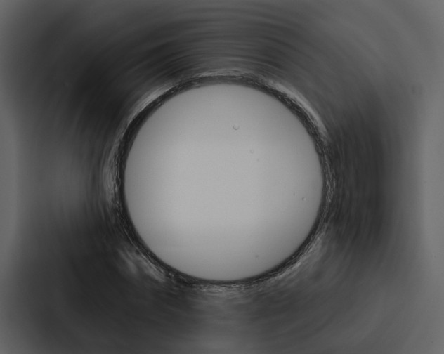 X0000088140874200705141029