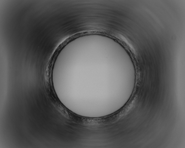 X0000088140875200705141029