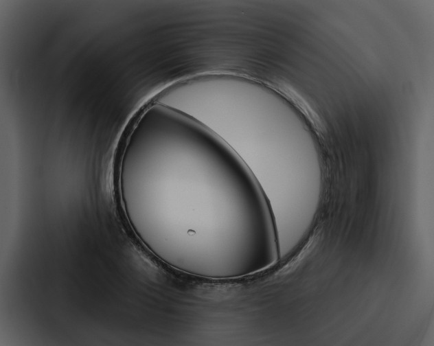 X0000088140884200705141029