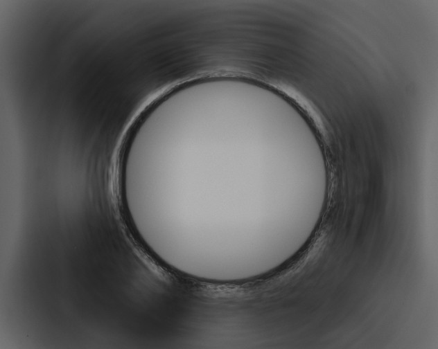 X0000088140886200705141029