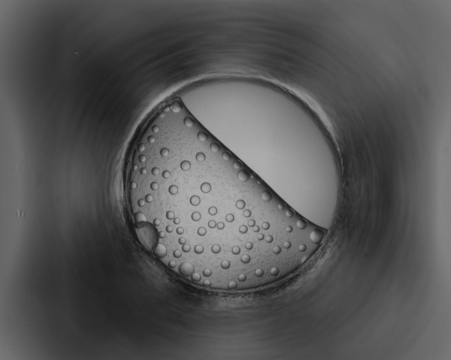 X0000088140887200705141029