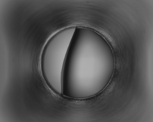 X0000088140888200705141029